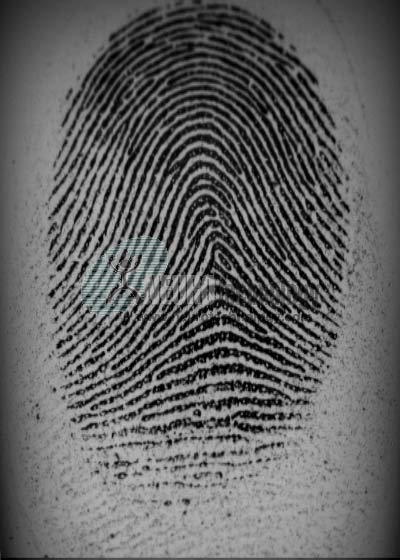 Free Desktop Calculator on Raw Fingerprint Image From Biometrika Fx3000 Scanner