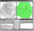 VeriFinger Algorithm Demo screenshot