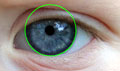 Iris recognition