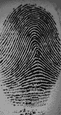 Raw fingerprint image from Biometrika Fx2000 scanner