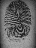 Raw fingerprint image from Biometrika Fx3000 scanner