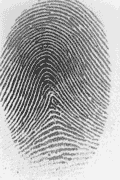 Raw fingerprint image from Futronic FS80 scanner