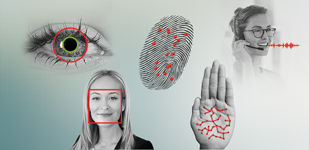 Multi-biometric modality icon