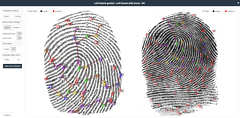 MegaMatcher ABIS client screenshot - fingerprints adjudication