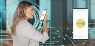 Voice Verification graphics