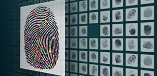 Press release header graphics