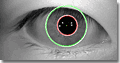 La búsqueda precisa de los límites del iris por VeriEye mejora aún más la calidad del reconocimiento cuando los límites del iris parecen círculos perfectos