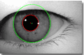 Diferentes límites internos y externos del iris están correctamente segmentados por VeriEye