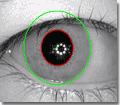 Los límites del iris que no son círculos o elipses están correctamente segmentados por VeriEye